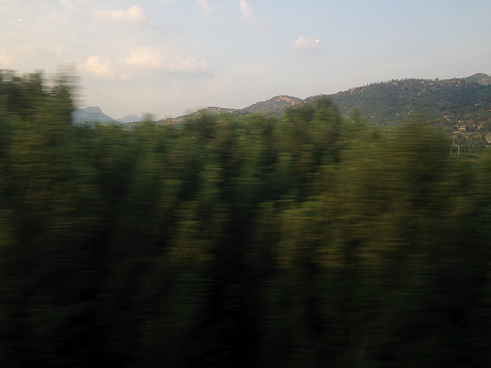 Ng Hon Lam Photography