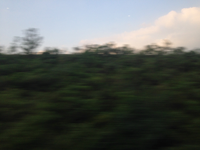 Ng Hon Lam Photography