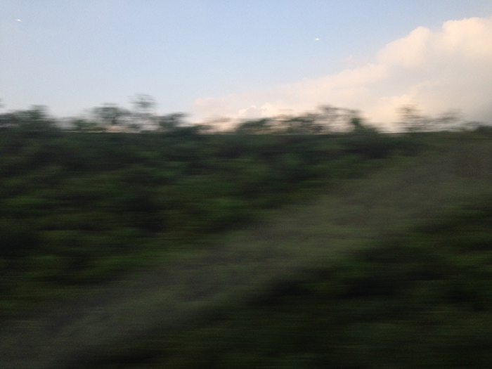 Ng Hon Lam Photography