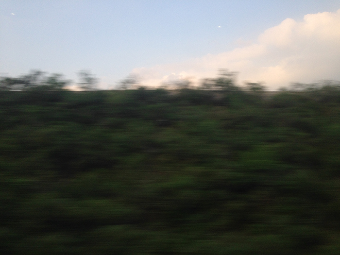 Ng Hon Lam Photography