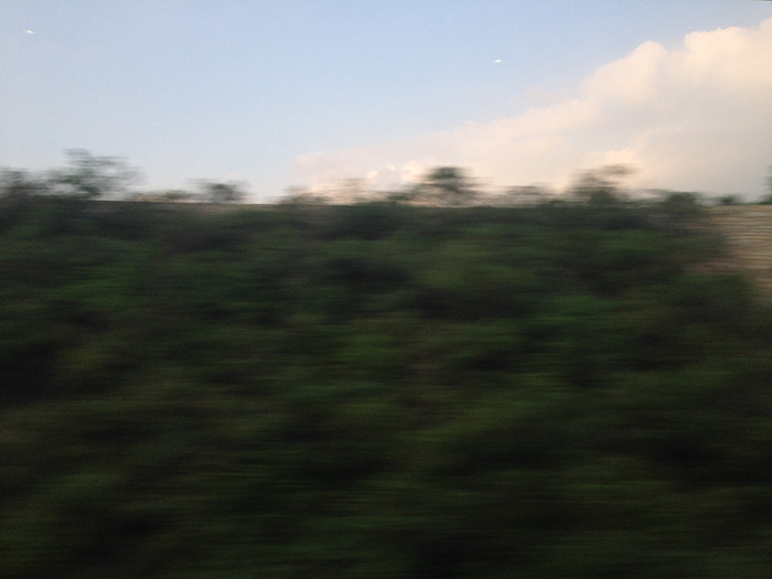 Ng Hon Lam Photography