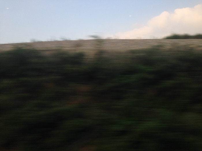 Ng Hon Lam Photography