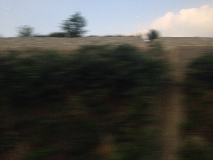 Ng Hon Lam Photography