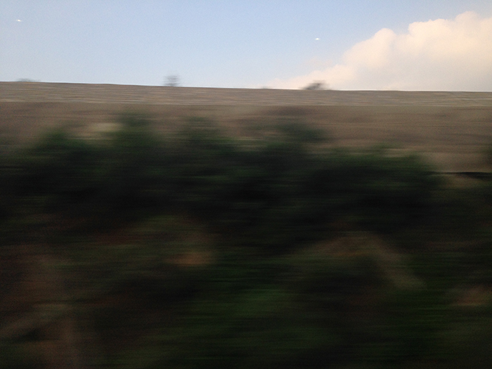 Ng Hon Lam Photography