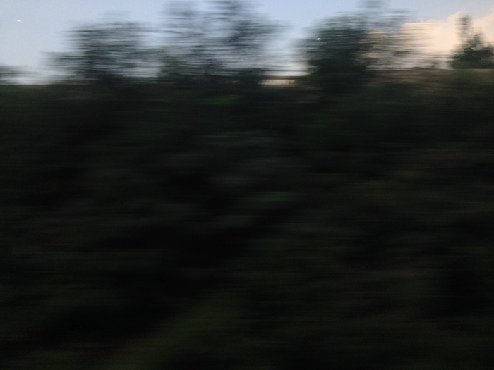 Ng Hon Lam Photography