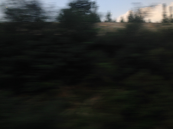 Ng Hon Lam Photography