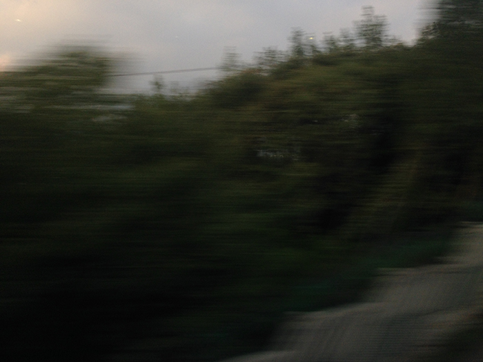 Ng Hon Lam Photography