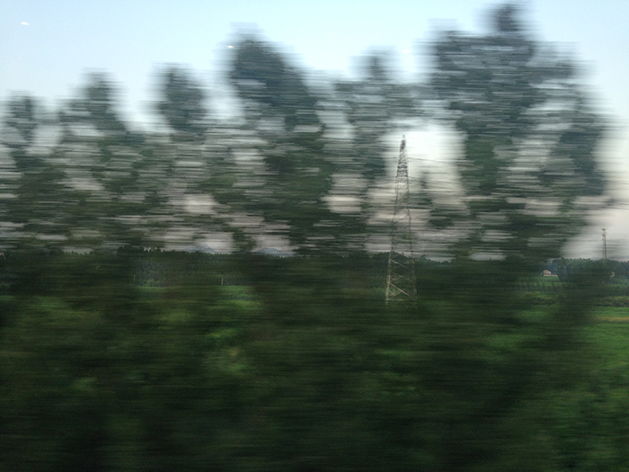 Ng Hon Lam Photography