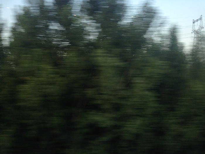 Ng Hon Lam Photography