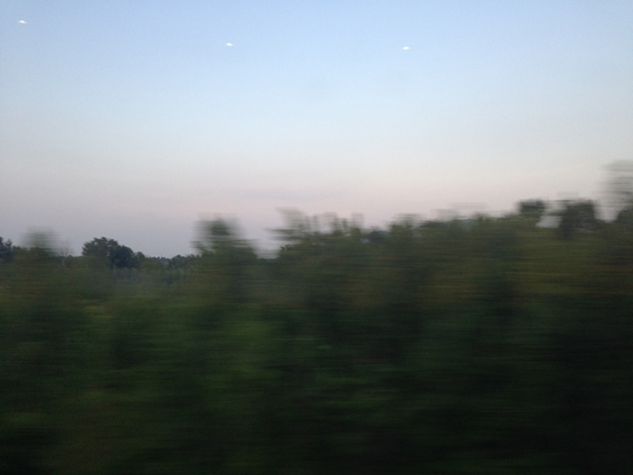 Ng Hon Lam Photography