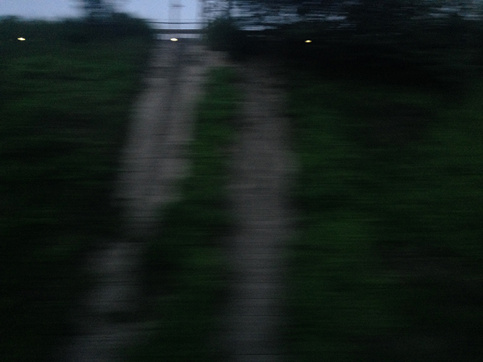 Ng Hon Lam Photography