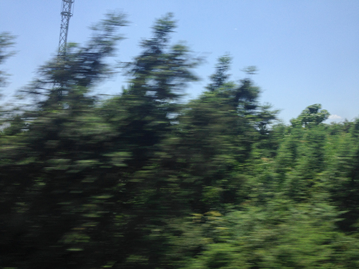 Ng Hon Lam Photography