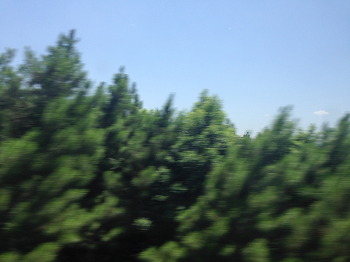 Ng Hon Lam Photography