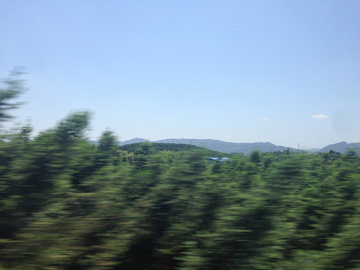 Ng Hon Lam Photography