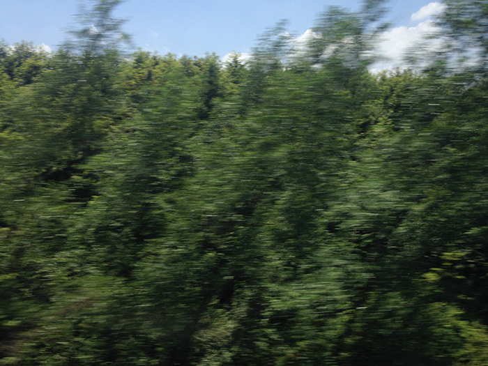 Ng Hon Lam Photography