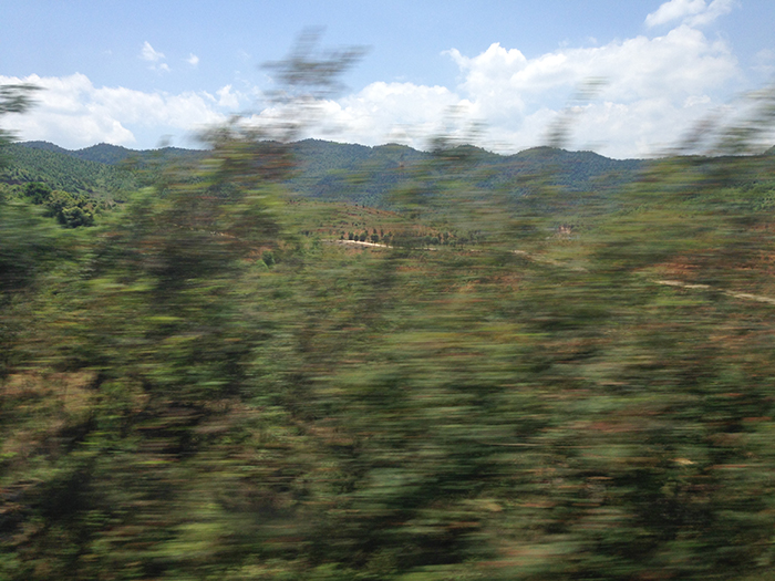 Ng Hon Lam Photography