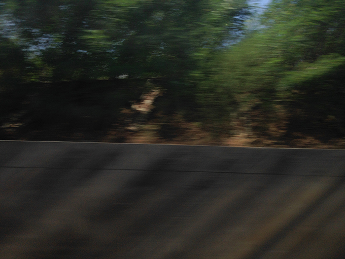 Ng Hon Lam Photography