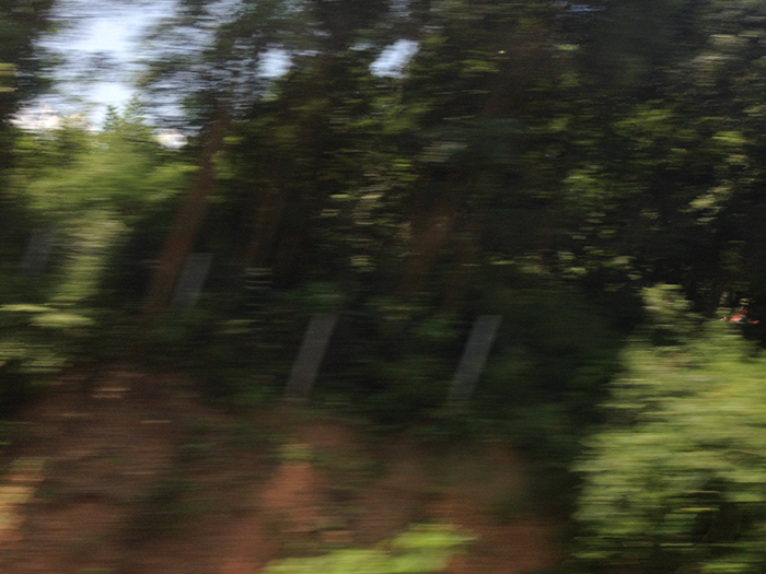 Ng Hon Lam Photography