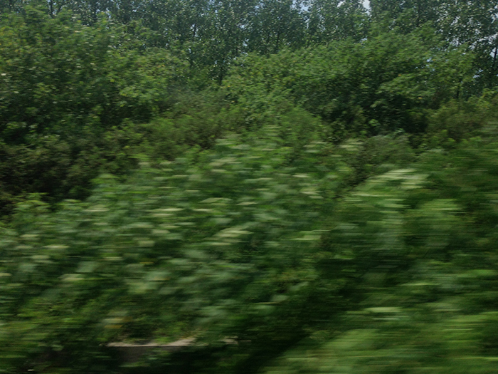 Ng Hon Lam Photography