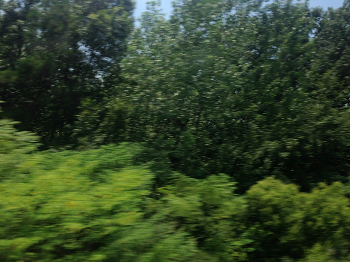 Ng Hon Lam Photography