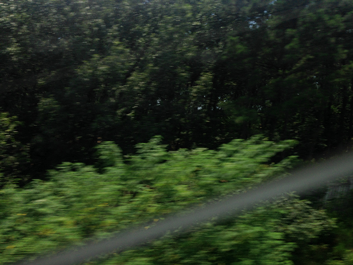 Ng Hon Lam Photography