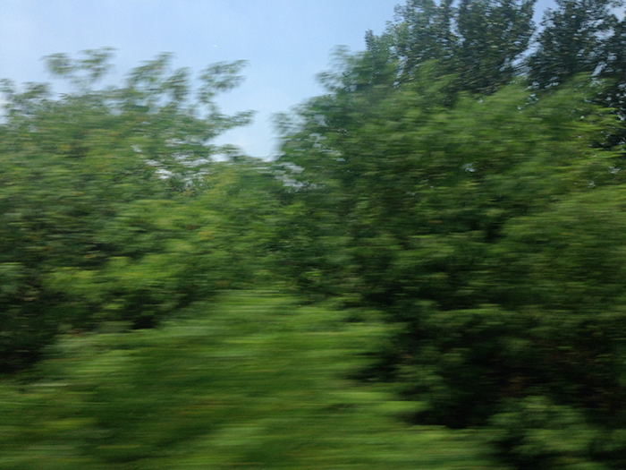 Ng Hon Lam Photography