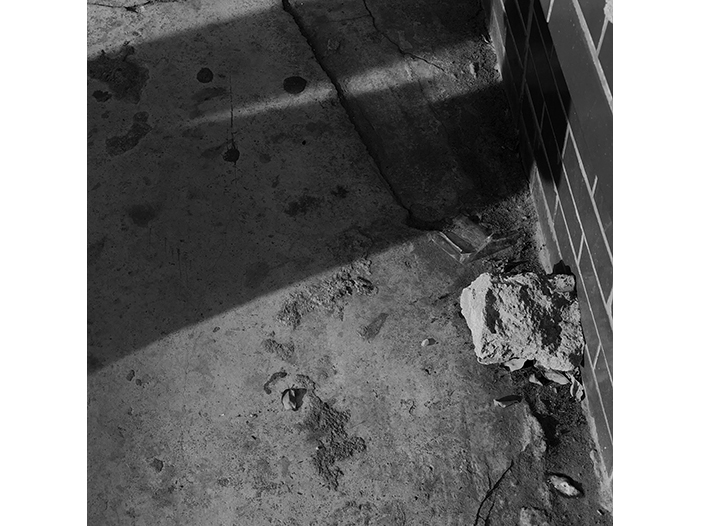 Ng Hon Lam Photography