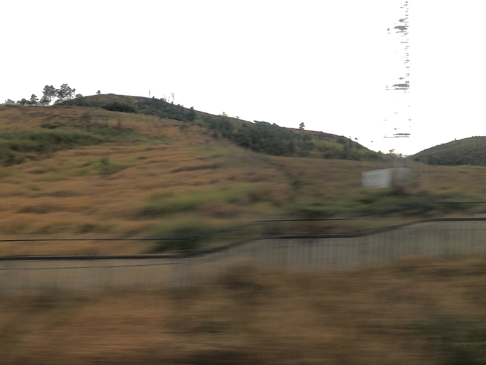 Ng Hon Lam Photography