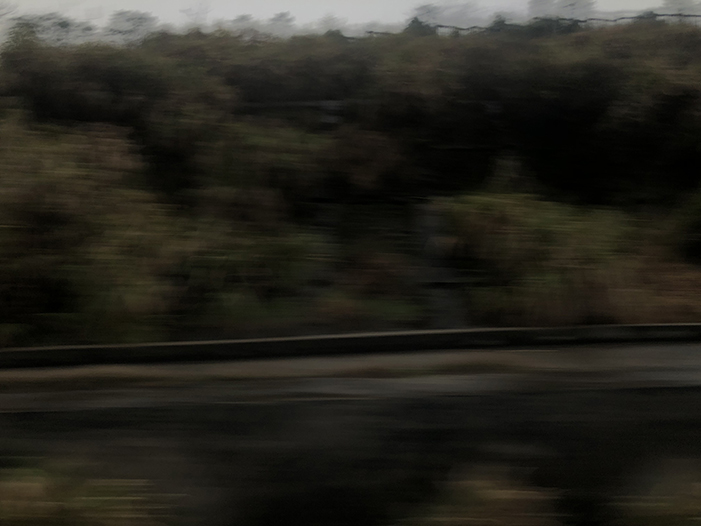 Ng Hon Lam Photography