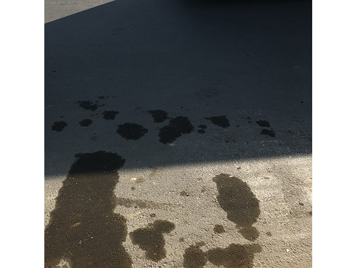 Ng Hon Lam Photography