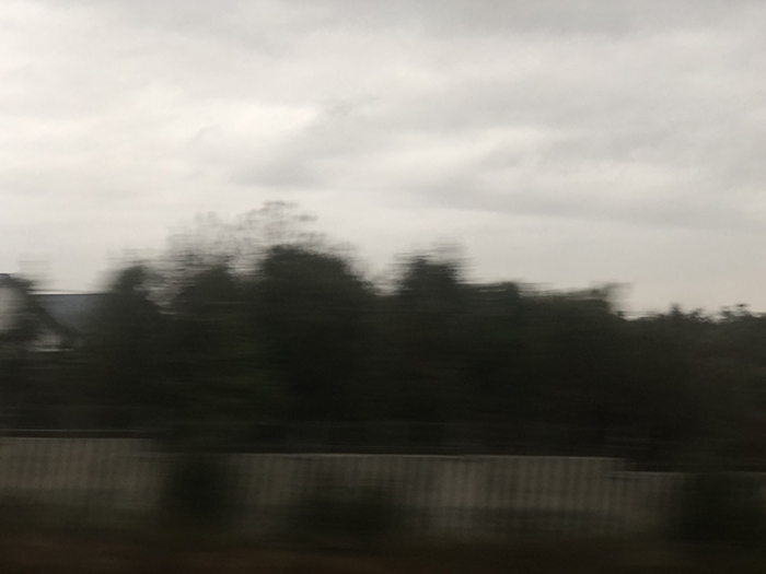 Ng Hon Lam Photography