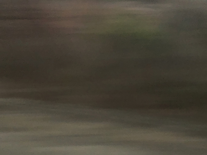 Ng Hon Lam Photography