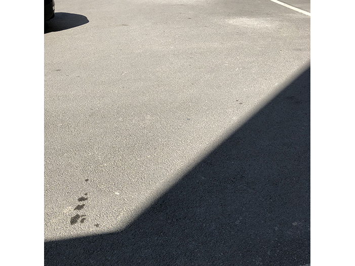 Ng Hon Lam Photography