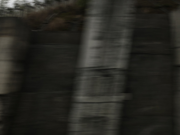 Ng Hon Lam Photography