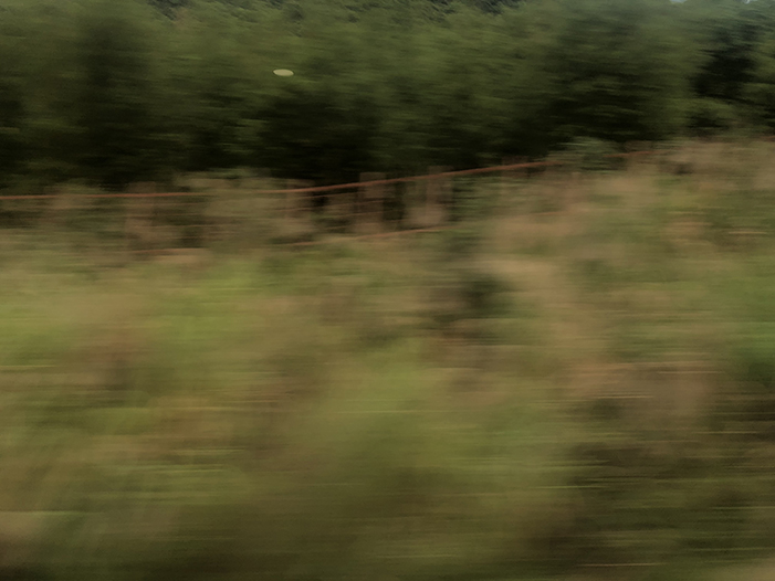 Ng Hon Lam Photography