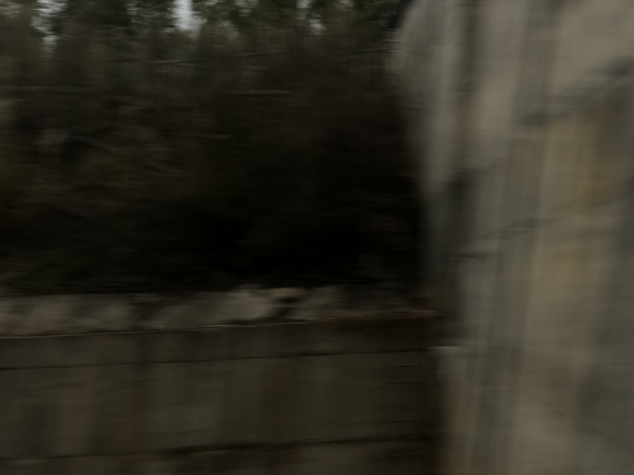 Ng Hon Lam Photography