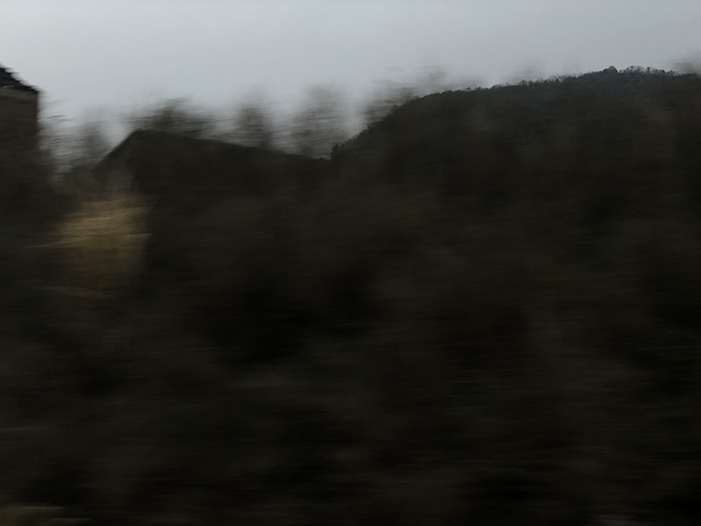 Ng Hon Lam Photography