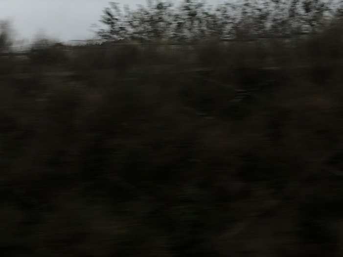 Ng Hon Lam Photography