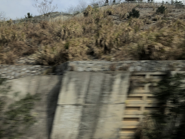 Ng Hon Lam Photography