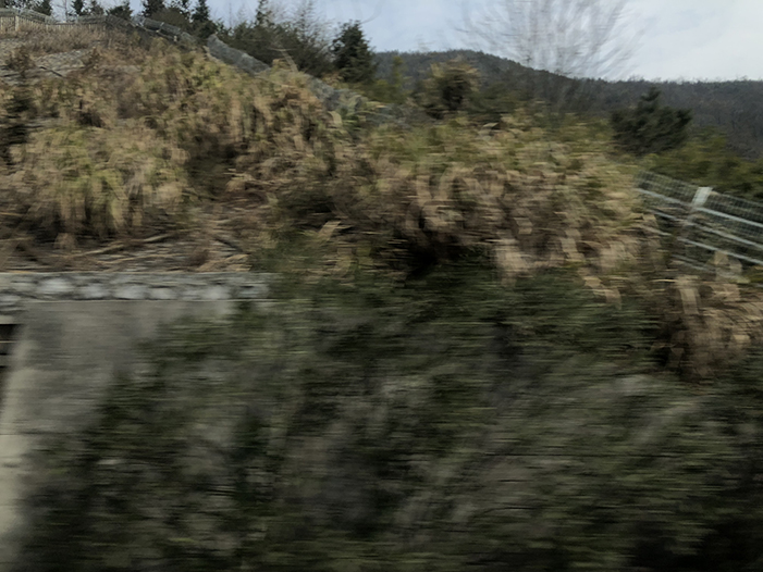 Ng Hon Lam Photography