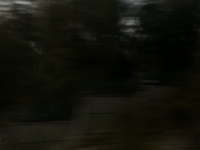 Ng Hon Lam Photography