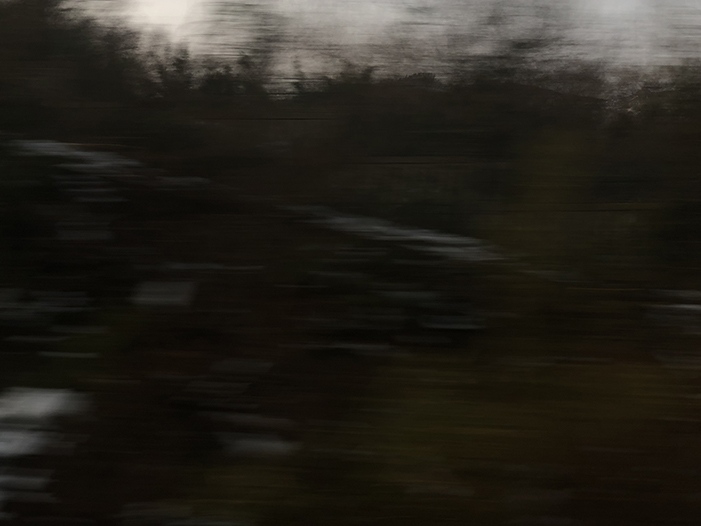 Ng Hon Lam Photography