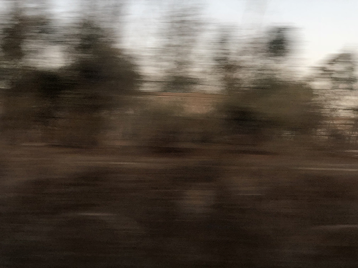 Ng Hon Lam Photography