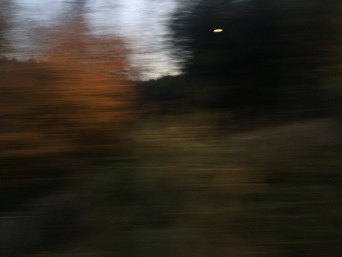 Ng Hon Lam Photography