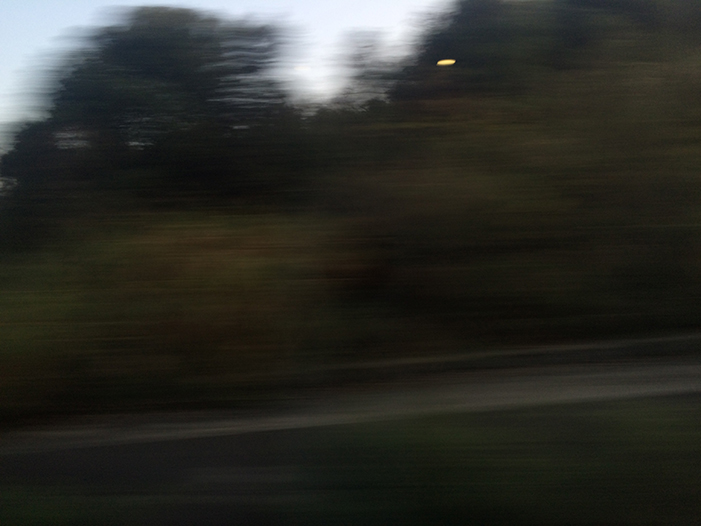 Ng Hon Lam Photography