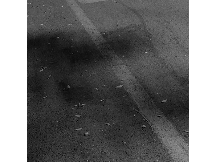 Ng Hon Lam Photography