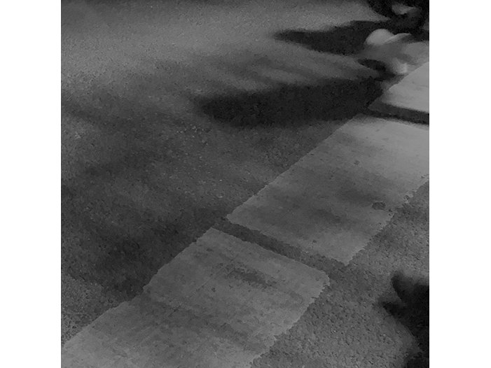 Ng Hon Lam Photography