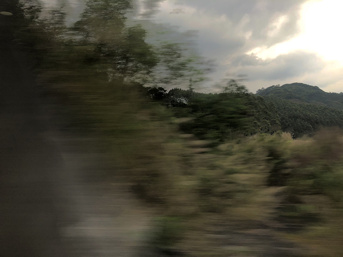 Ng Hon Lam Photography