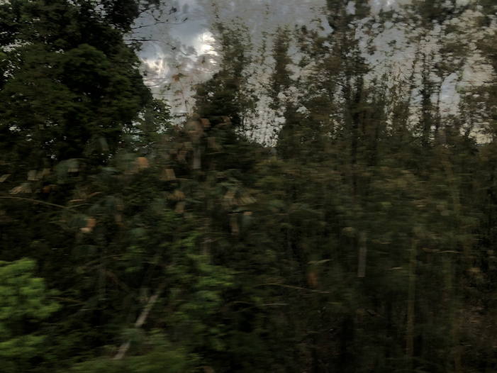 Ng Hon Lam Photography