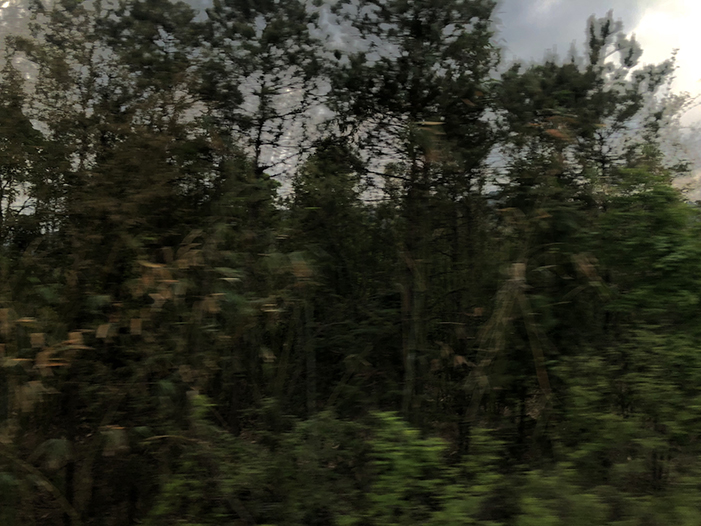 Ng Hon Lam Photography